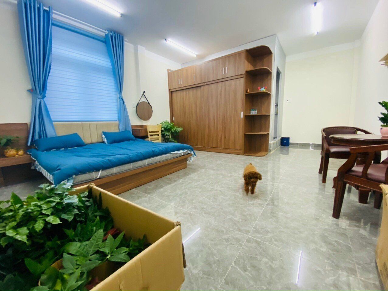 4088164 ảnh đại diện 1