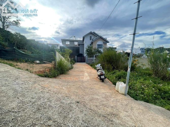 4090098 ảnh đại diện 1