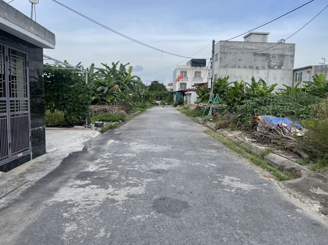 4089702 ảnh đại diện 1