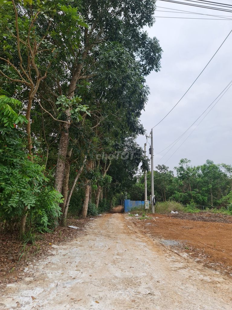 4089121 ảnh đại diện 1