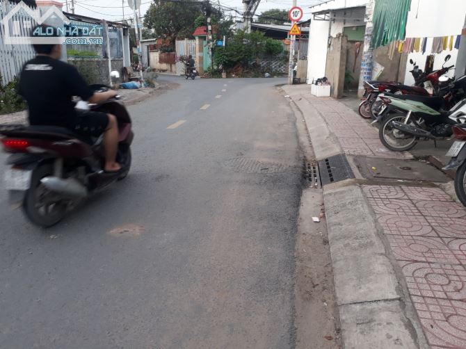 4090730 ảnh đại diện 1