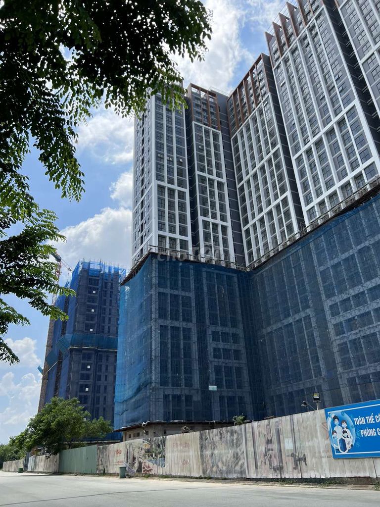4088462 ảnh đại diện 1