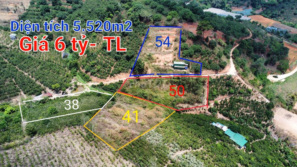 4088816 ảnh đại diện 2
