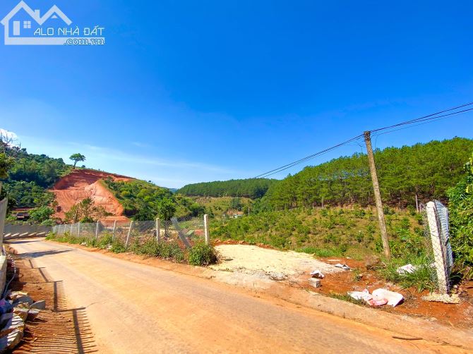 4089580 ảnh đại diện 1