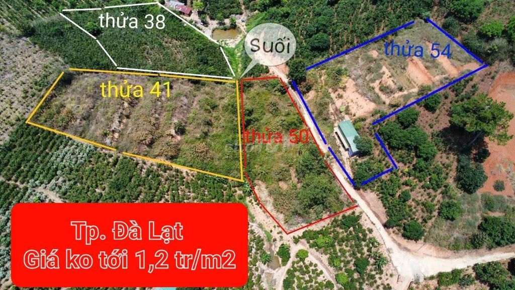 4088816 ảnh đại diện 1