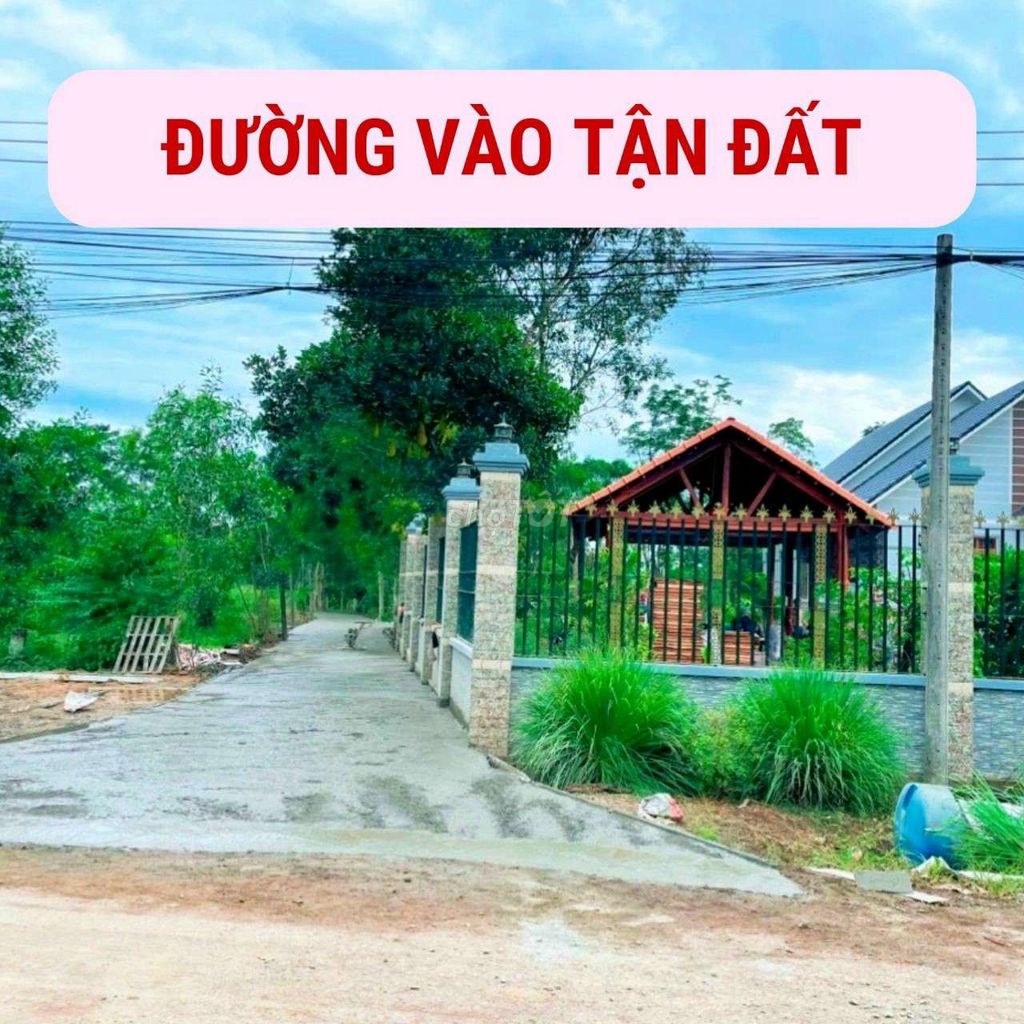 4089095 ảnh đại diện 1