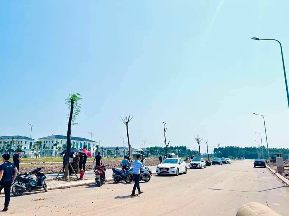 4091262 ảnh đại diện 1