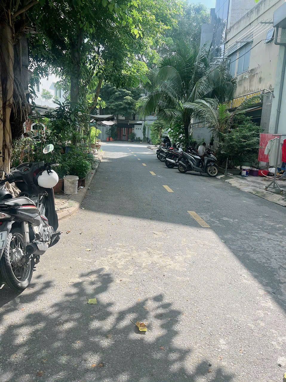 4092485 ảnh đại diện 2