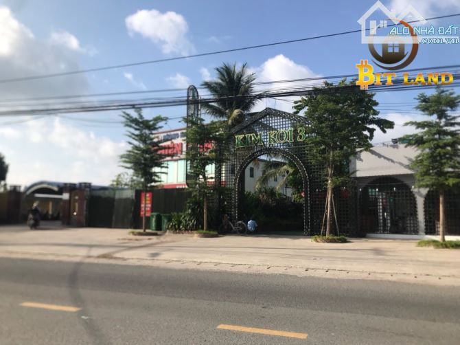 4093667 ảnh đại diện 2