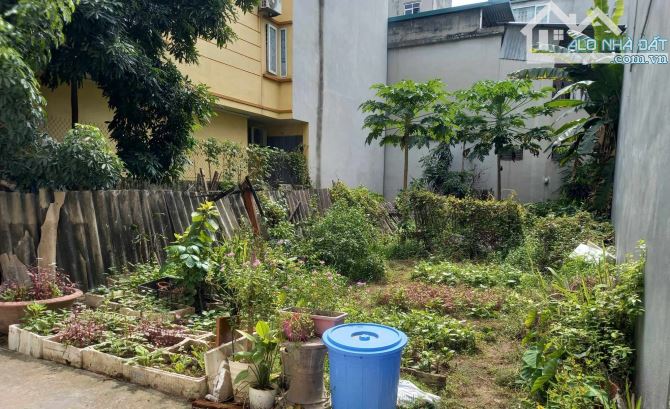 4090857 ảnh đại diện 1
