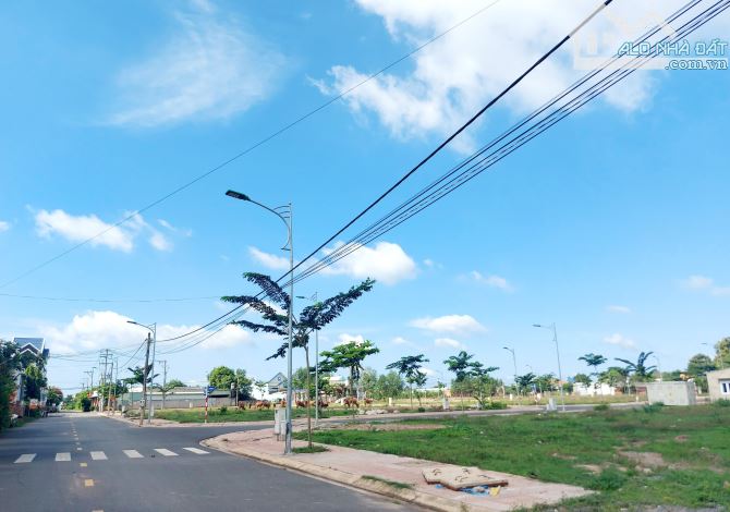 4091781 ảnh đại diện 1