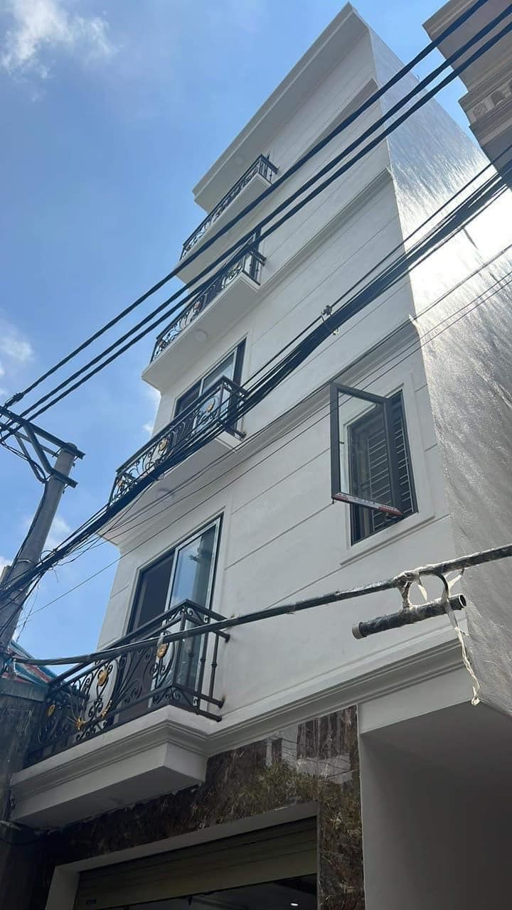 4094147 ảnh đại diện 1