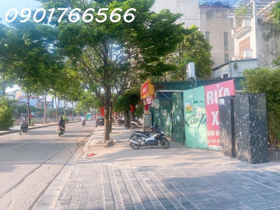 4091782 ảnh đại diện 2