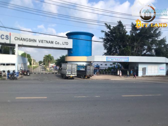 4093667 ảnh đại diện 1