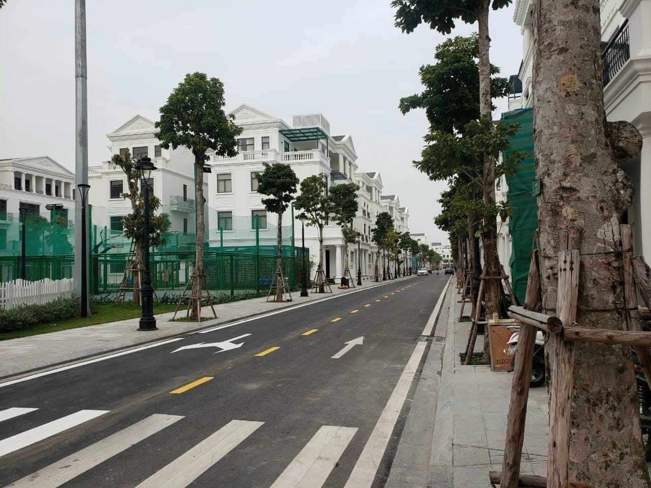 4094015 ảnh đại diện 2