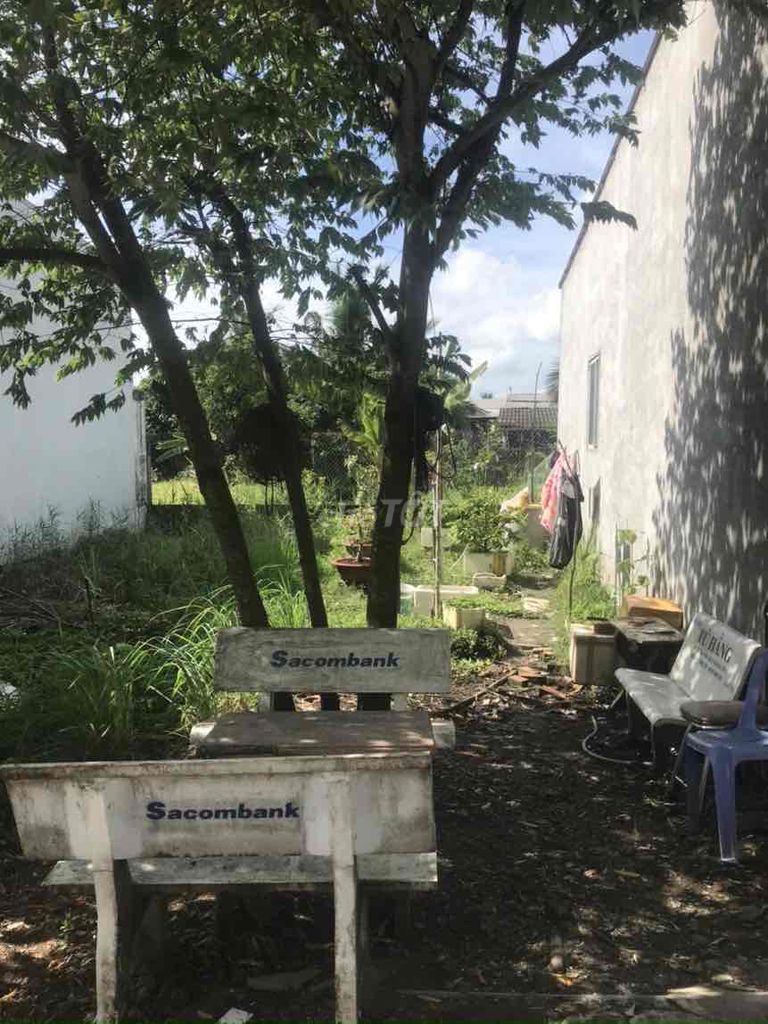 4091229 ảnh đại diện 2