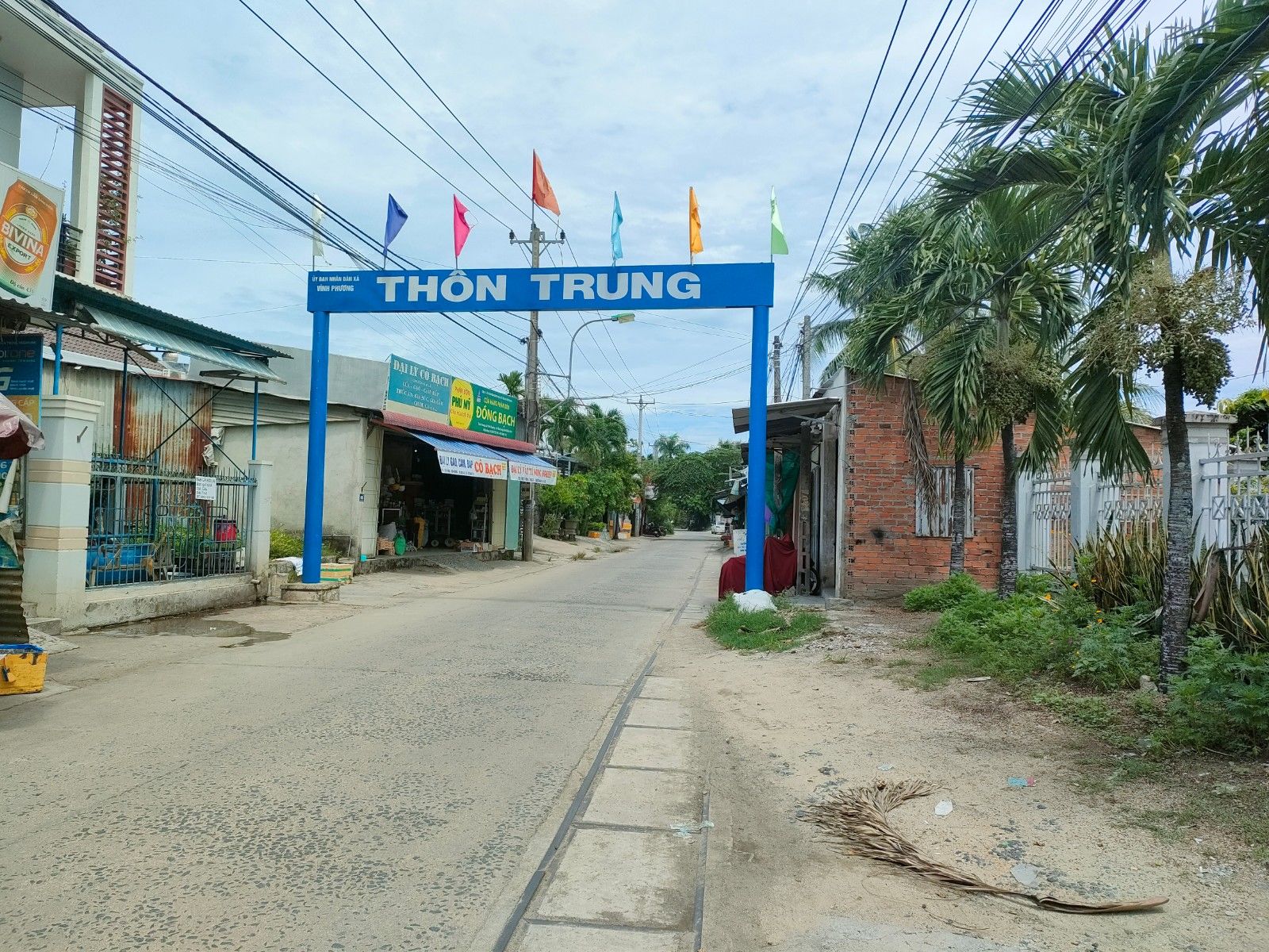 4092740 ảnh đại diện 1