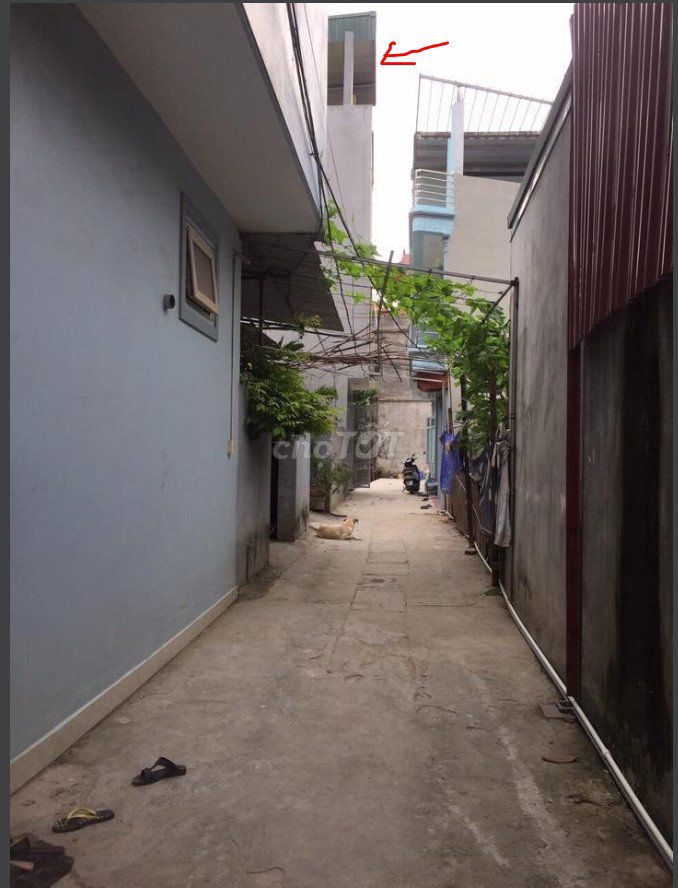 4090812 ảnh đại diện 1