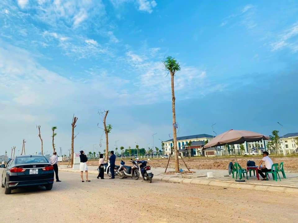4091262 ảnh đại diện 2