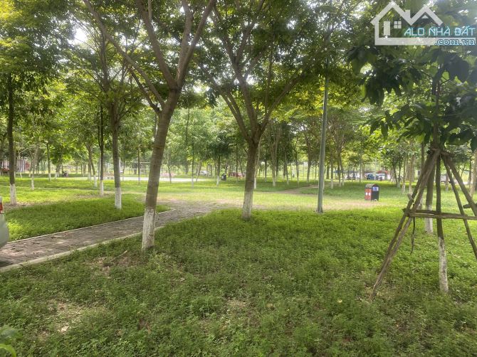 4093394 ảnh đại diện 1