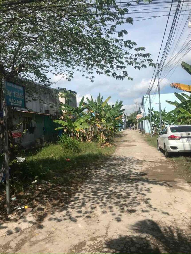 4091229 ảnh đại diện 1