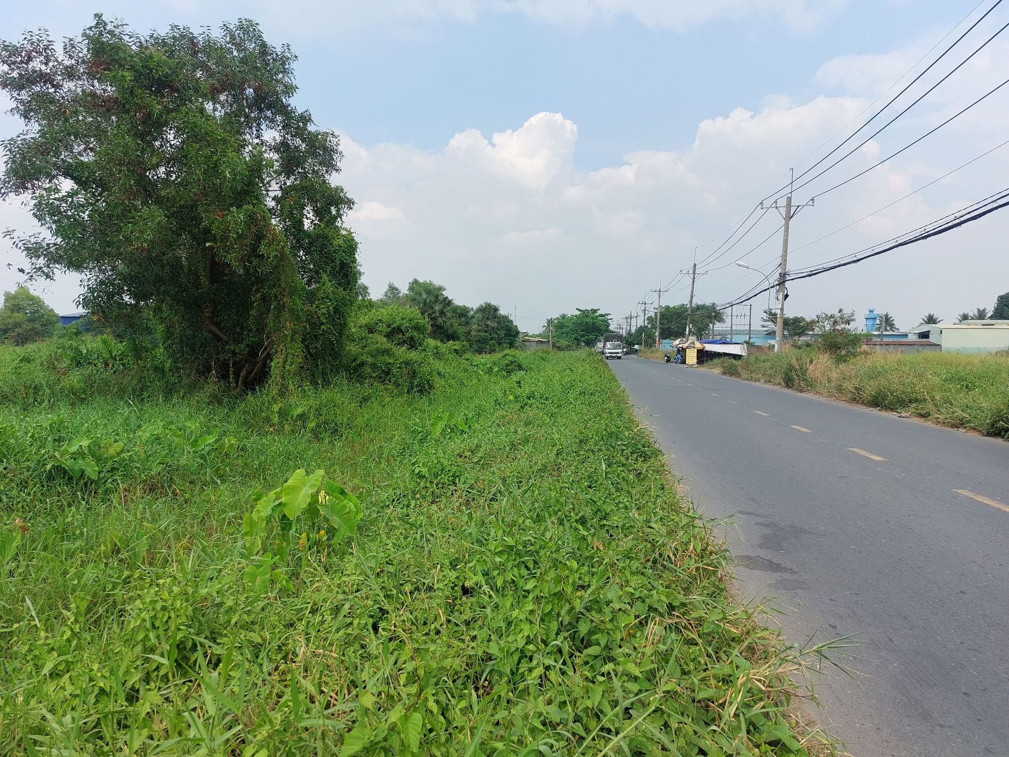 4091940 ảnh đại diện 1