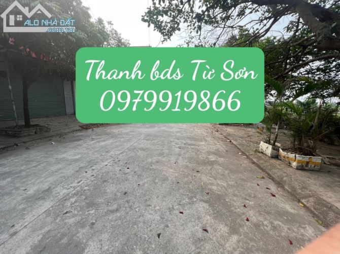 4092062 ảnh đại diện 1