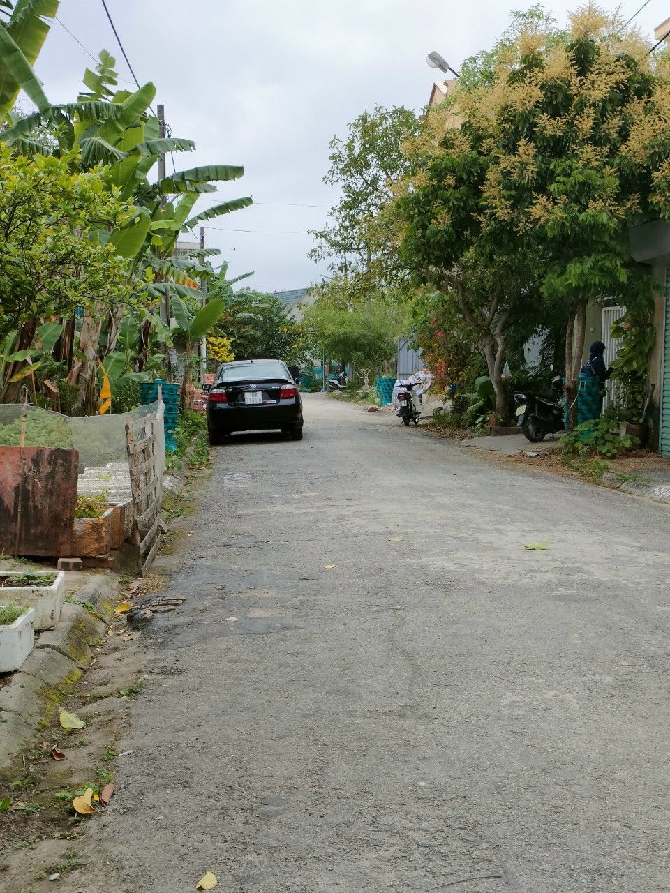 4091371 ảnh đại diện 1