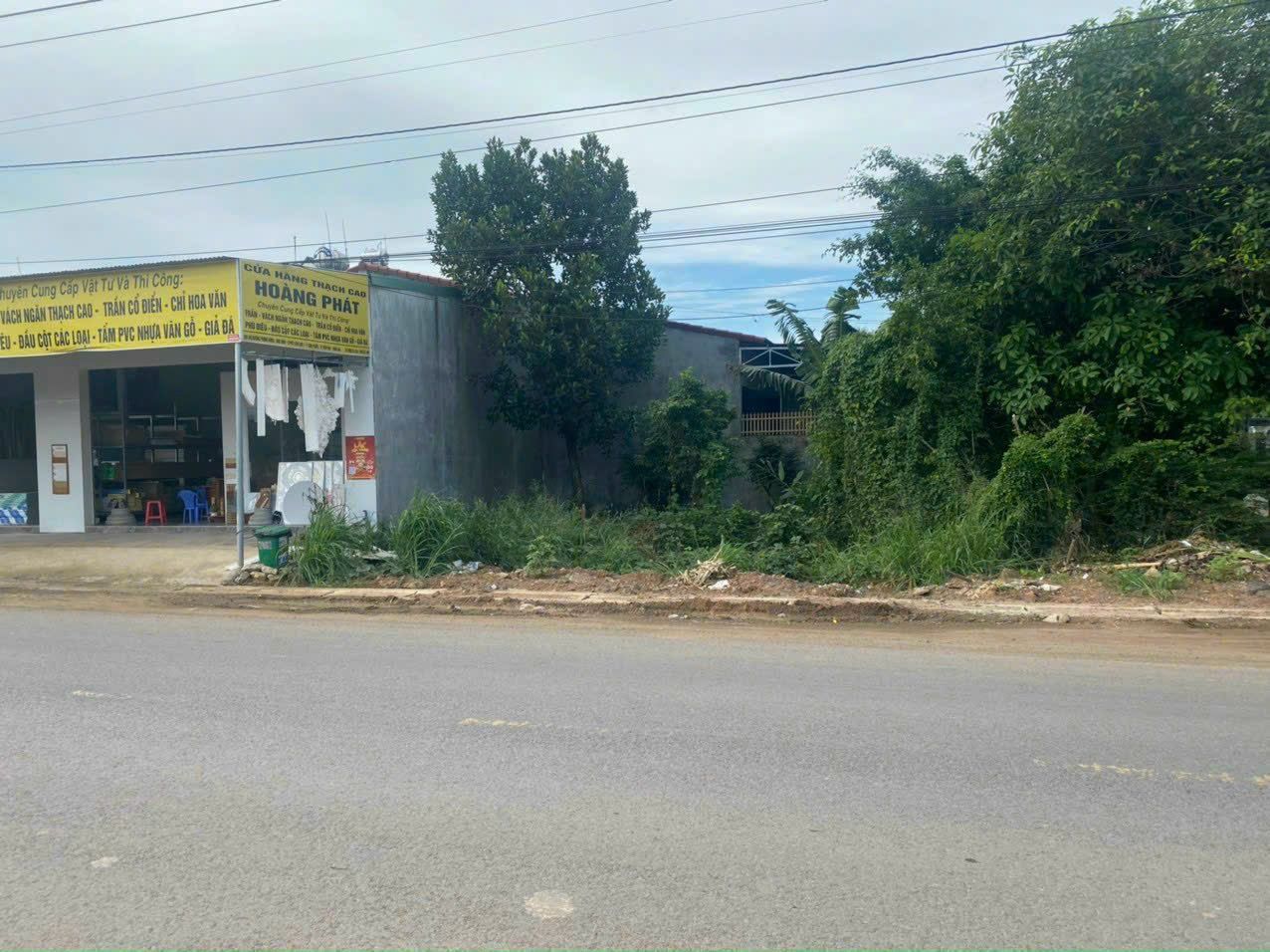 4096490 ảnh đại diện 1