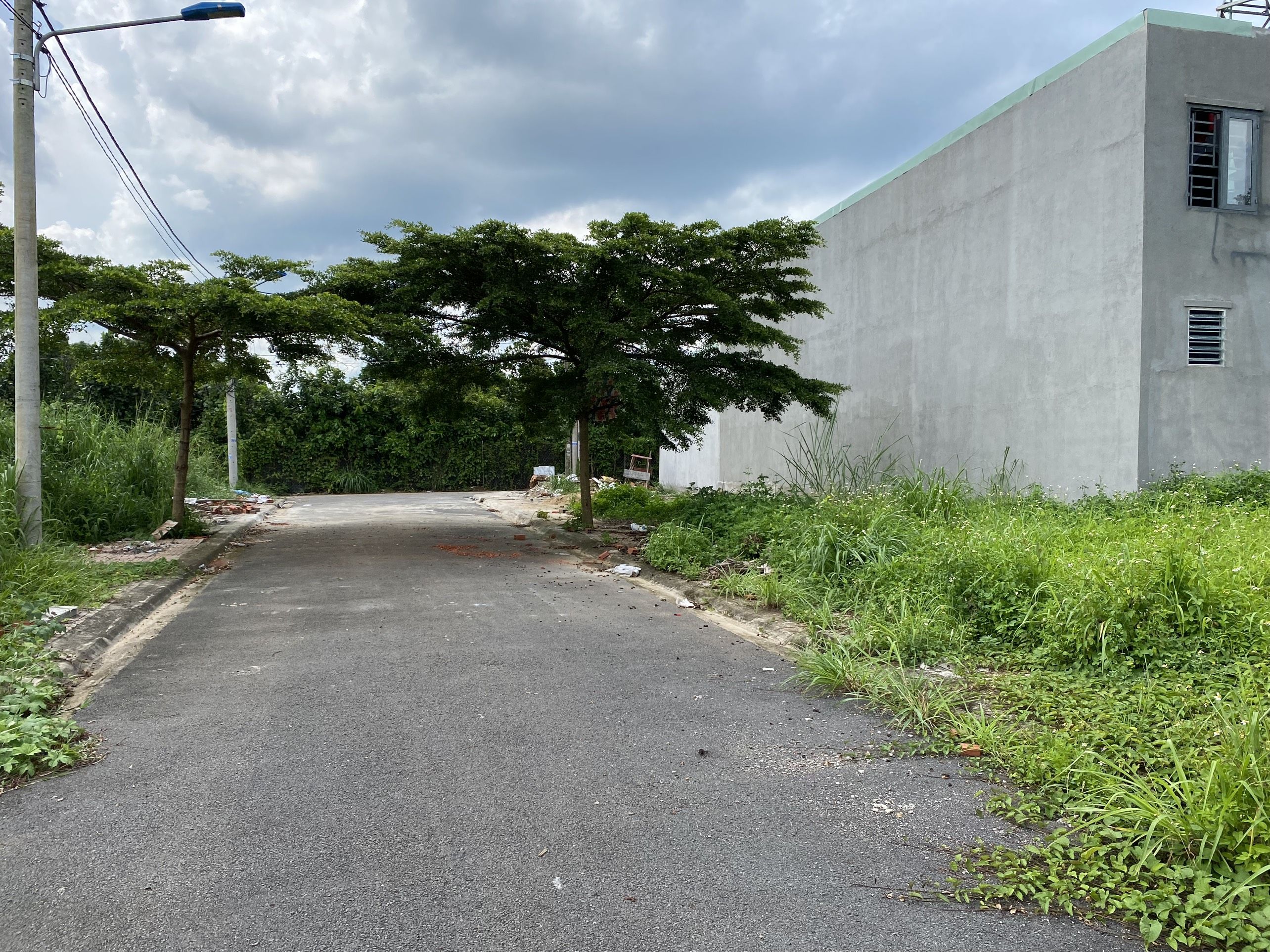 4095169 ảnh đại diện 1