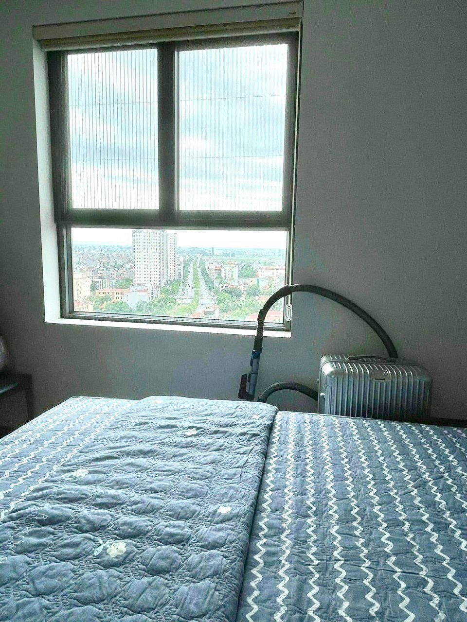 4095065 ảnh đại diện 2
