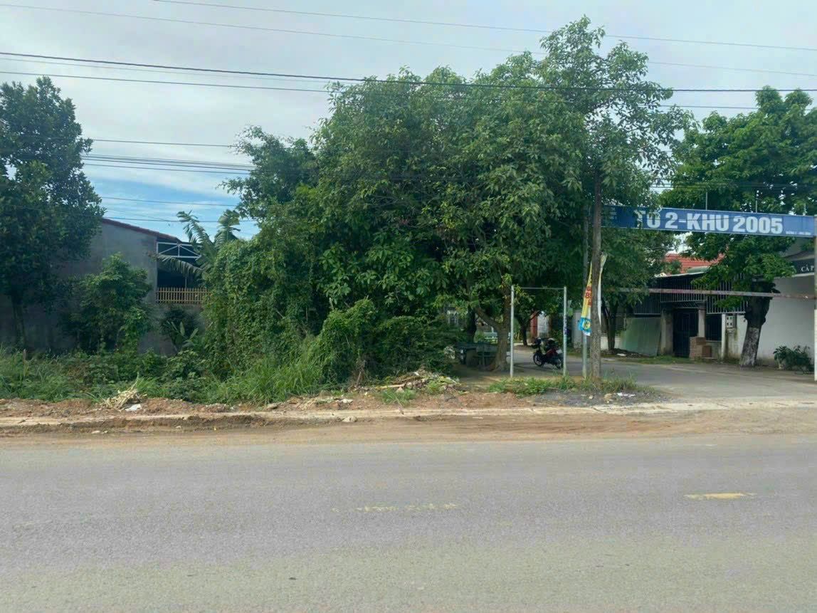 4096490 ảnh đại diện 1