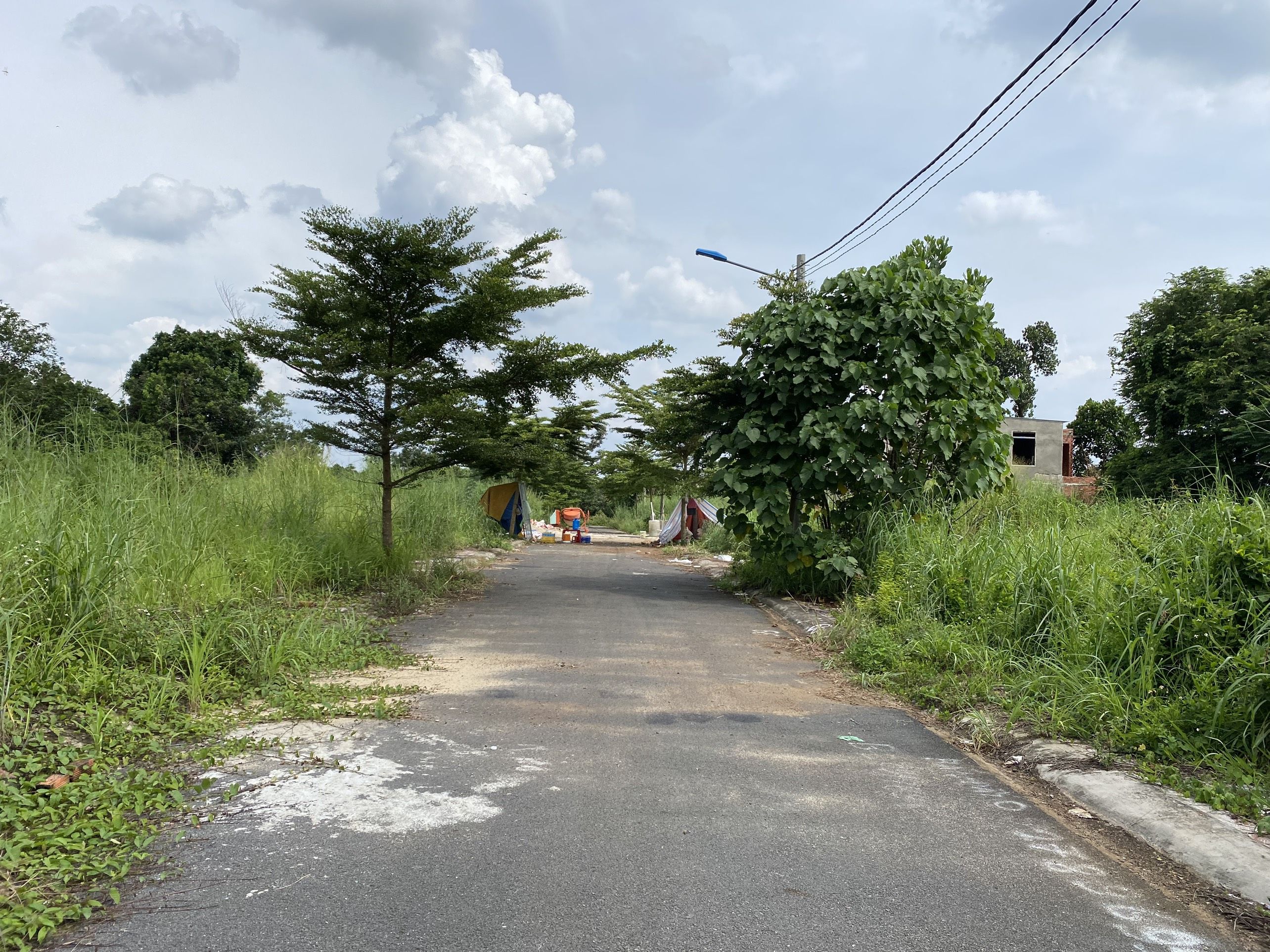 4095169 ảnh đại diện 2