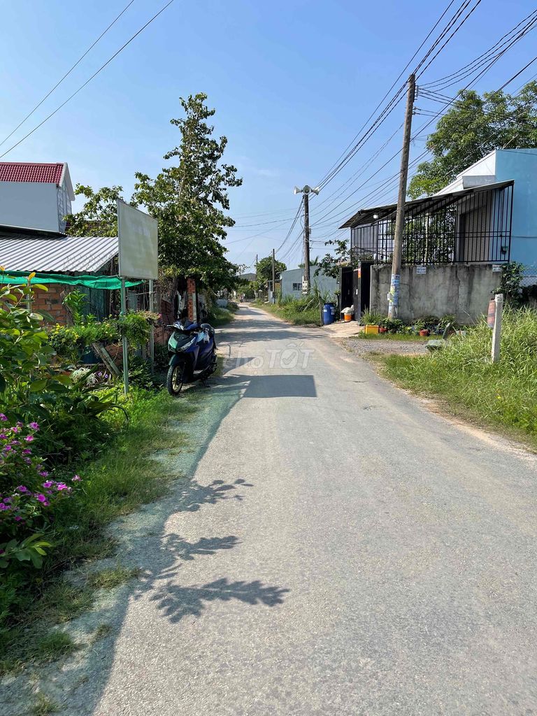 4096783 ảnh đại diện 2