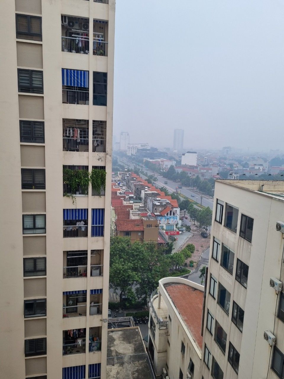 4095082 ảnh đại diện 2