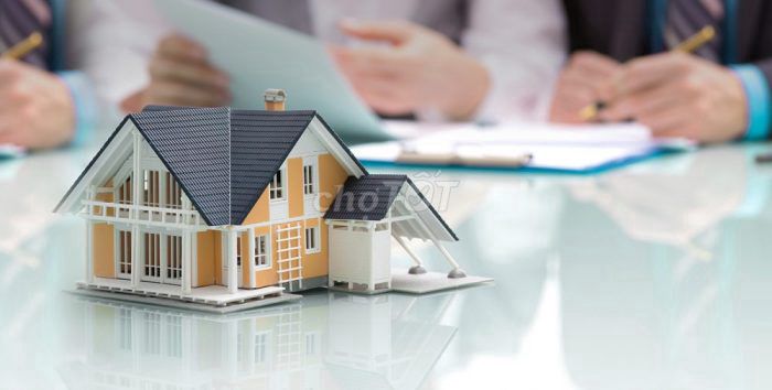 4094715 ảnh đại diện 2