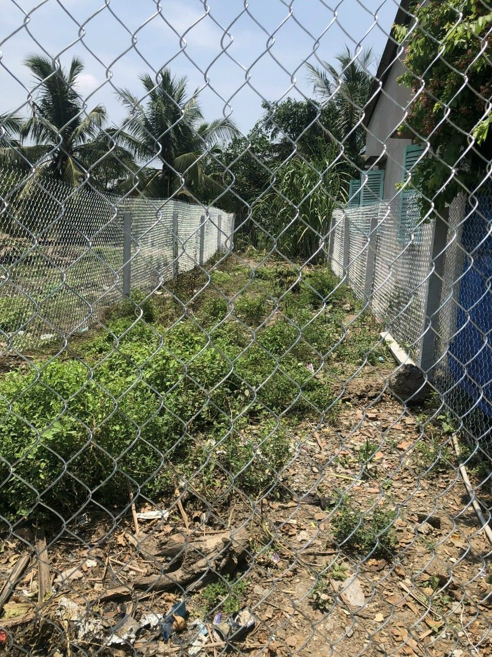 4096340 ảnh đại diện 1