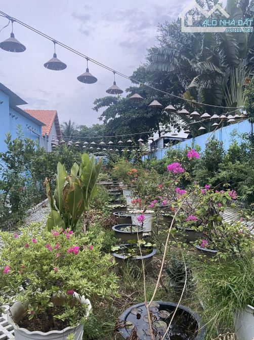 4097151 ảnh đại diện 1