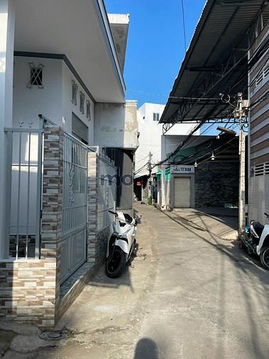4099768 ảnh đại diện 1