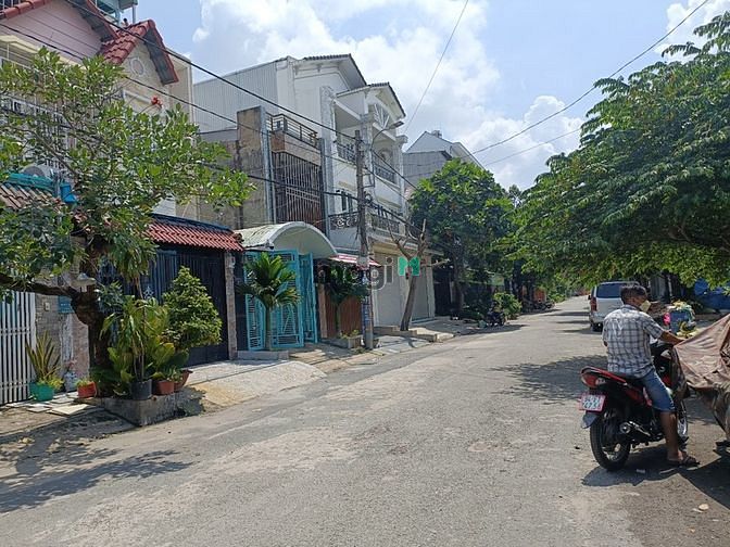 4100554 ảnh đại diện 1