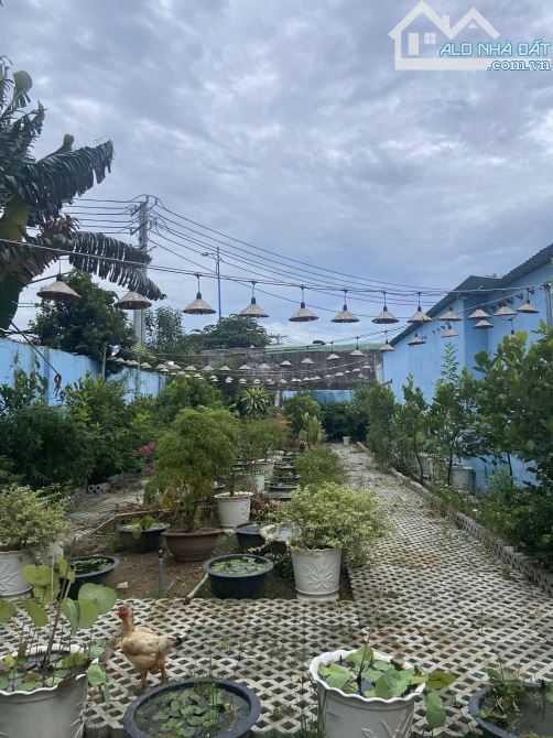 4097151 ảnh đại diện 1