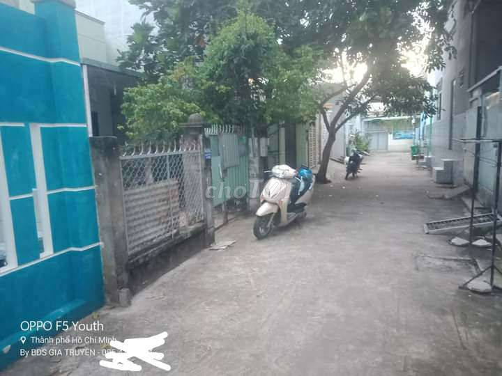 4100928 ảnh đại diện 2