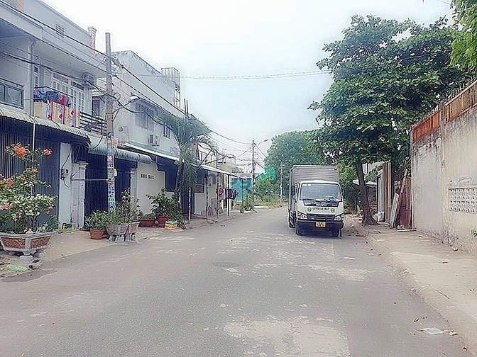 4100554 ảnh đại diện 1