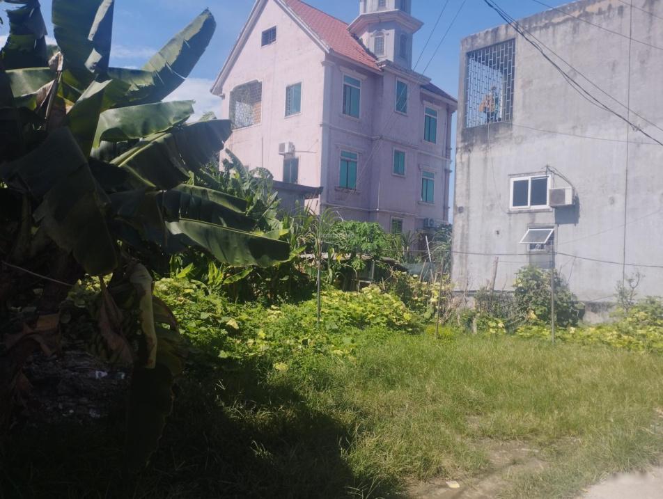 4097289 ảnh đại diện 1