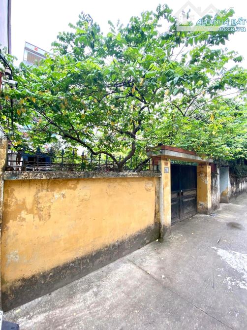 4098919 ảnh đại diện 1