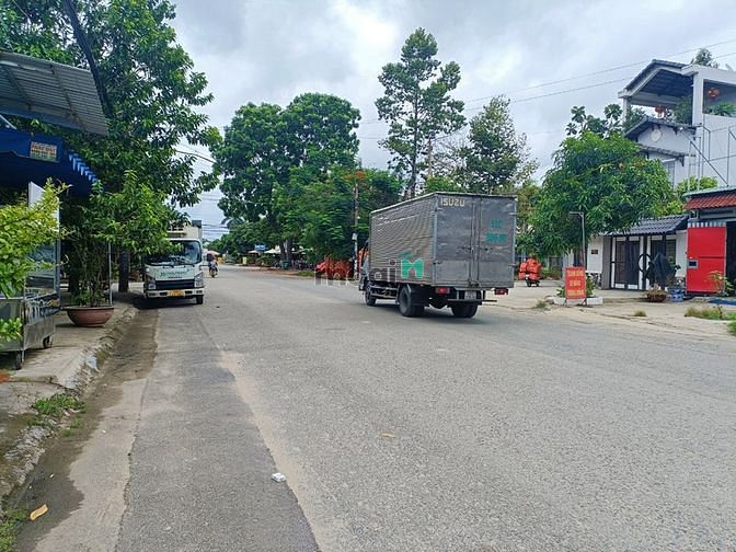 4100555 ảnh đại diện 1