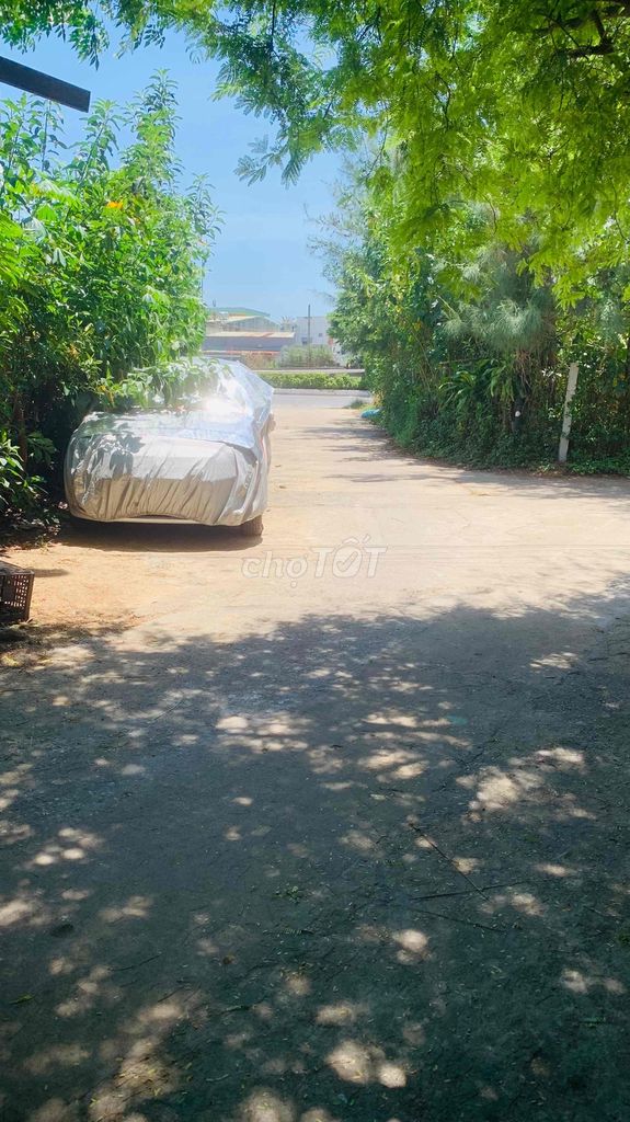 4097256 ảnh đại diện 1