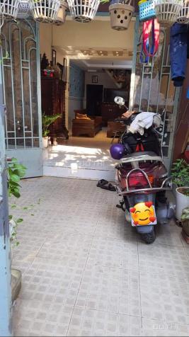 4104319 ảnh đại diện 1