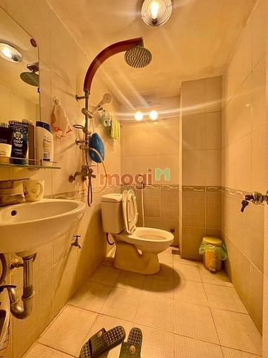 4102167 ảnh đại diện 1
