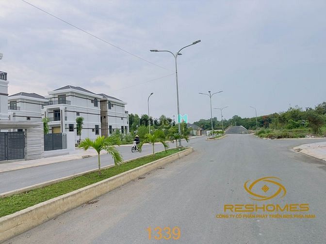 4102307 ảnh đại diện 2